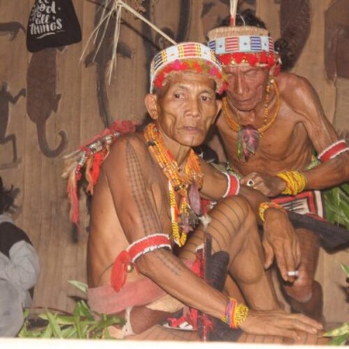 photo - Mentawai Travel - 4