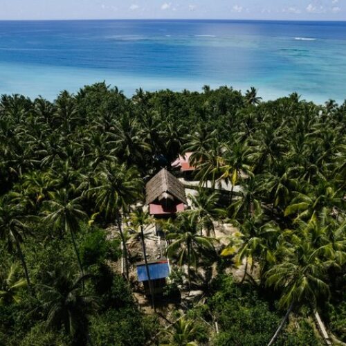 photo - Mentawai Travel - 63
